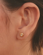 Chrysanthemum Choker & Stud Earrings Set