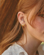 Aretes Caballo
