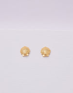 Aretes Concha