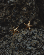 Aretes Estrella de Mar