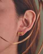 Puma Earrings