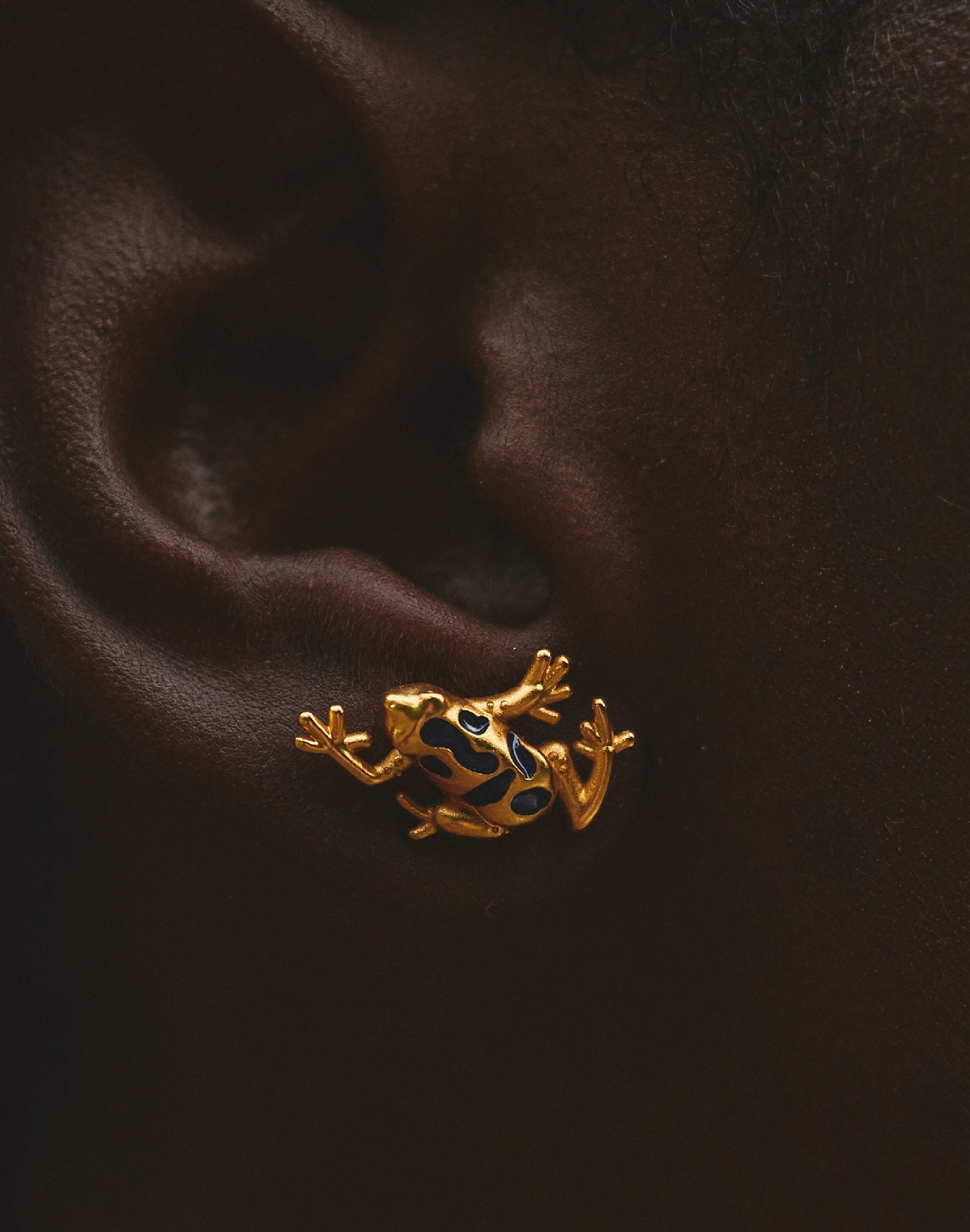 Blue Frog Stud Earrings