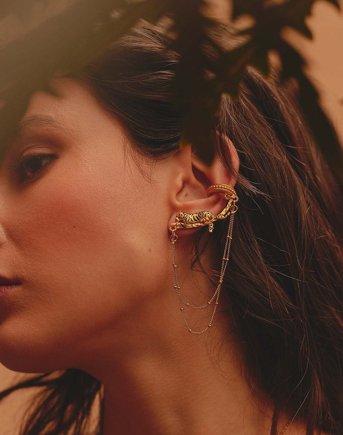 Aretes Tigre de Bengala