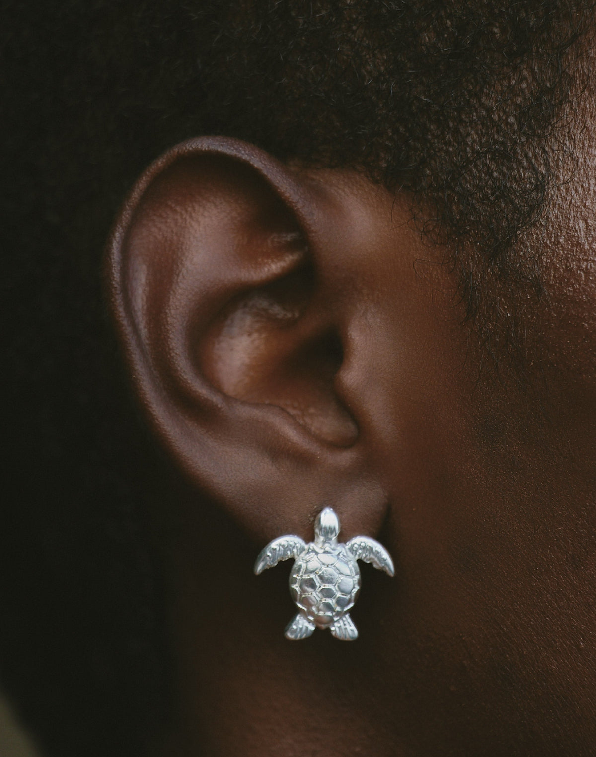 Hawksbill Turtle Stud Earrings