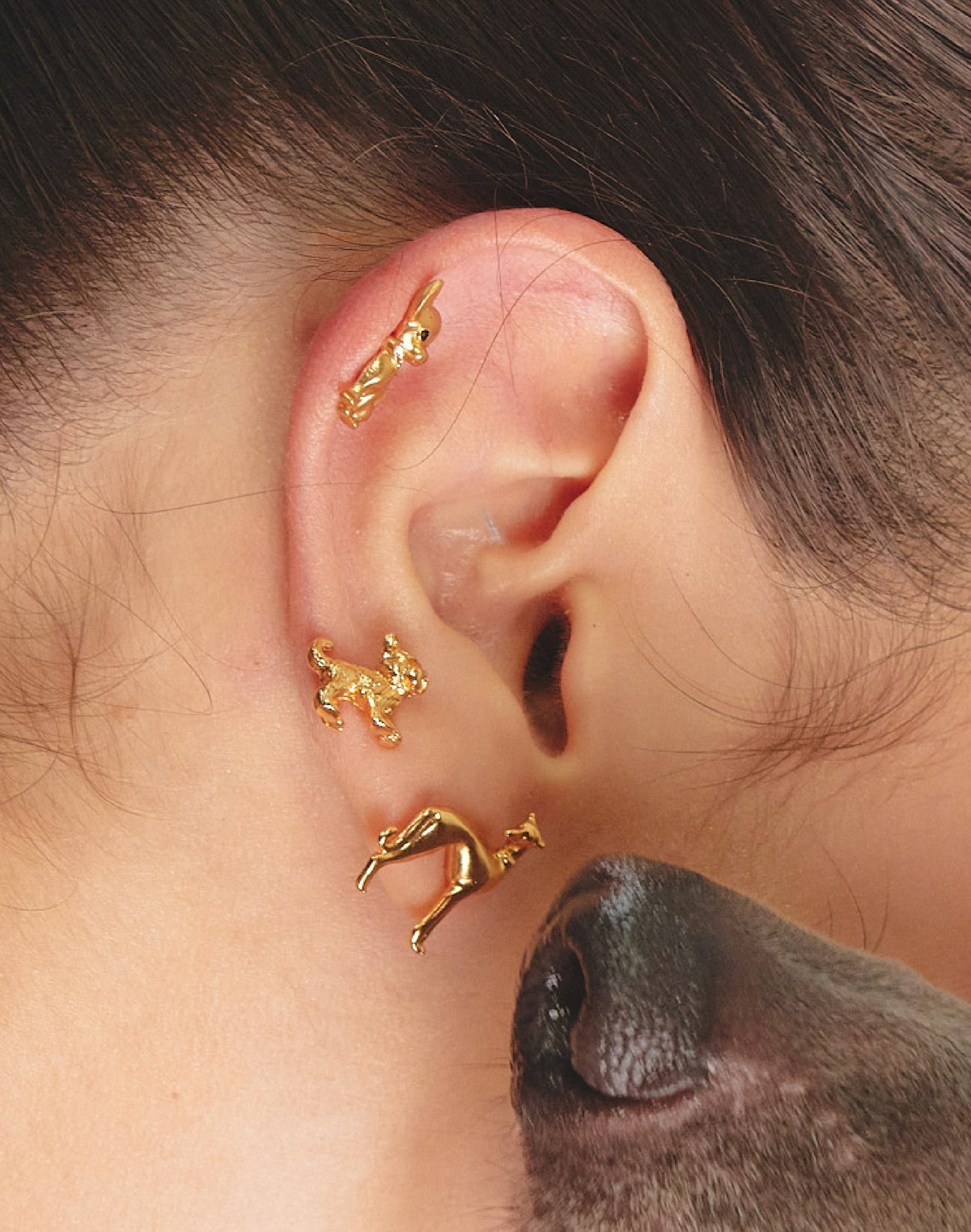 Yorkie Stud Earrings