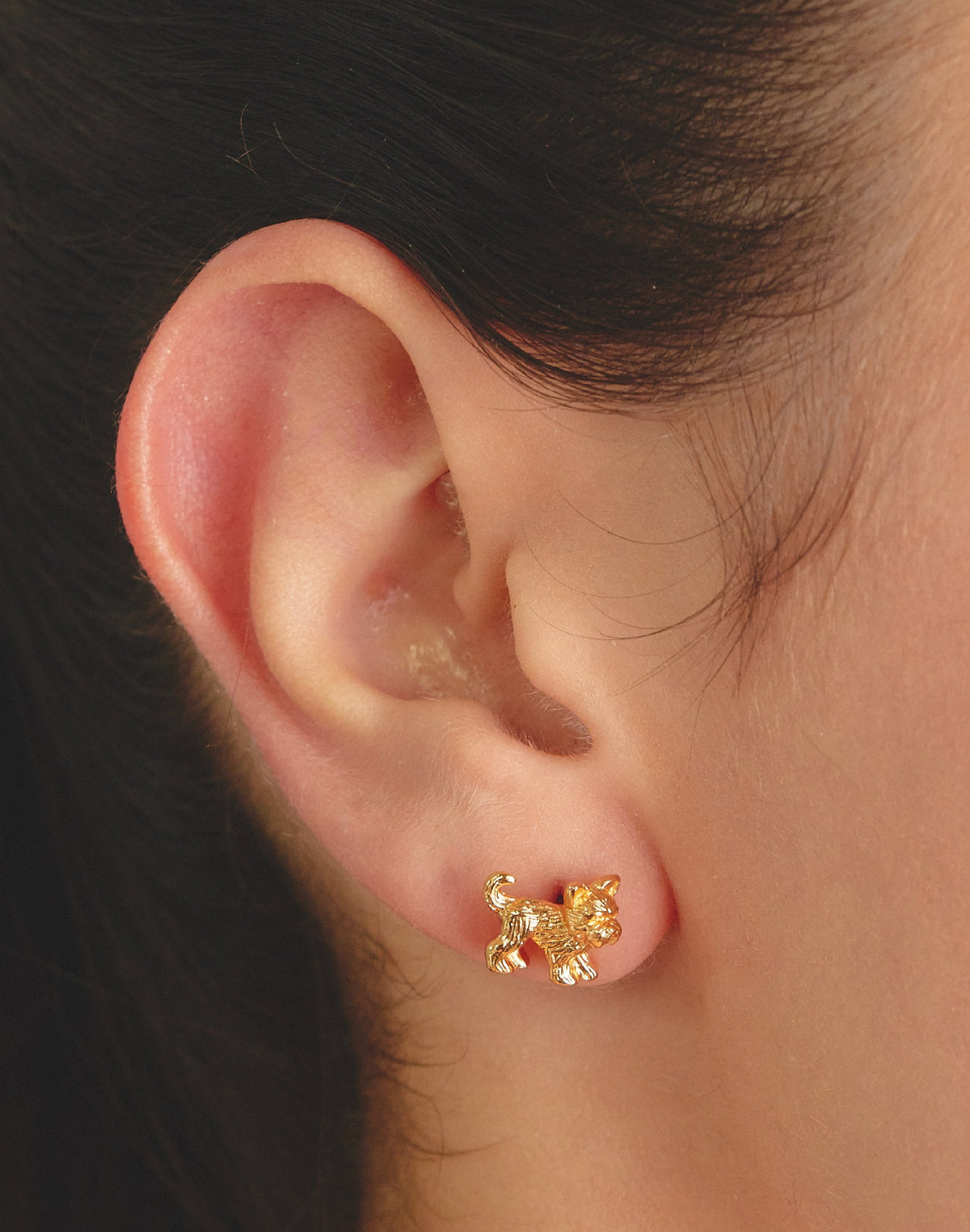 Yorkie Stud Earrings