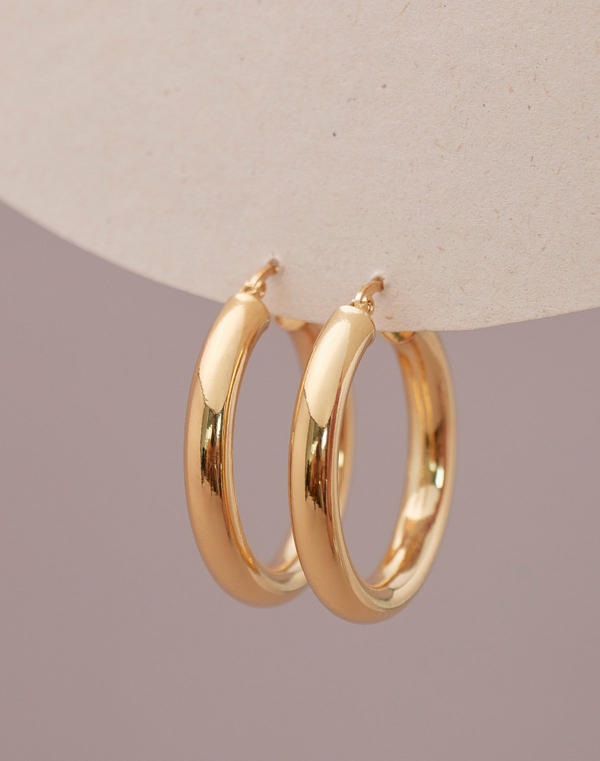 Eva Bold Hoop Earrings