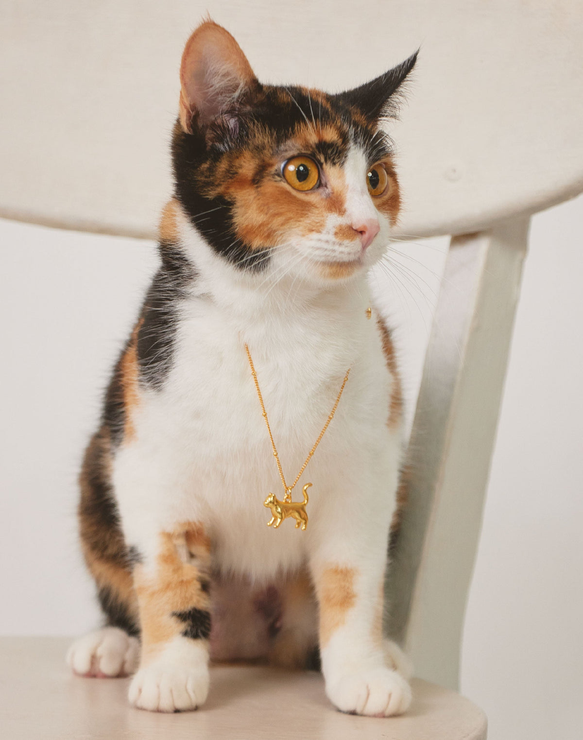 Tiffany Cat Necklace