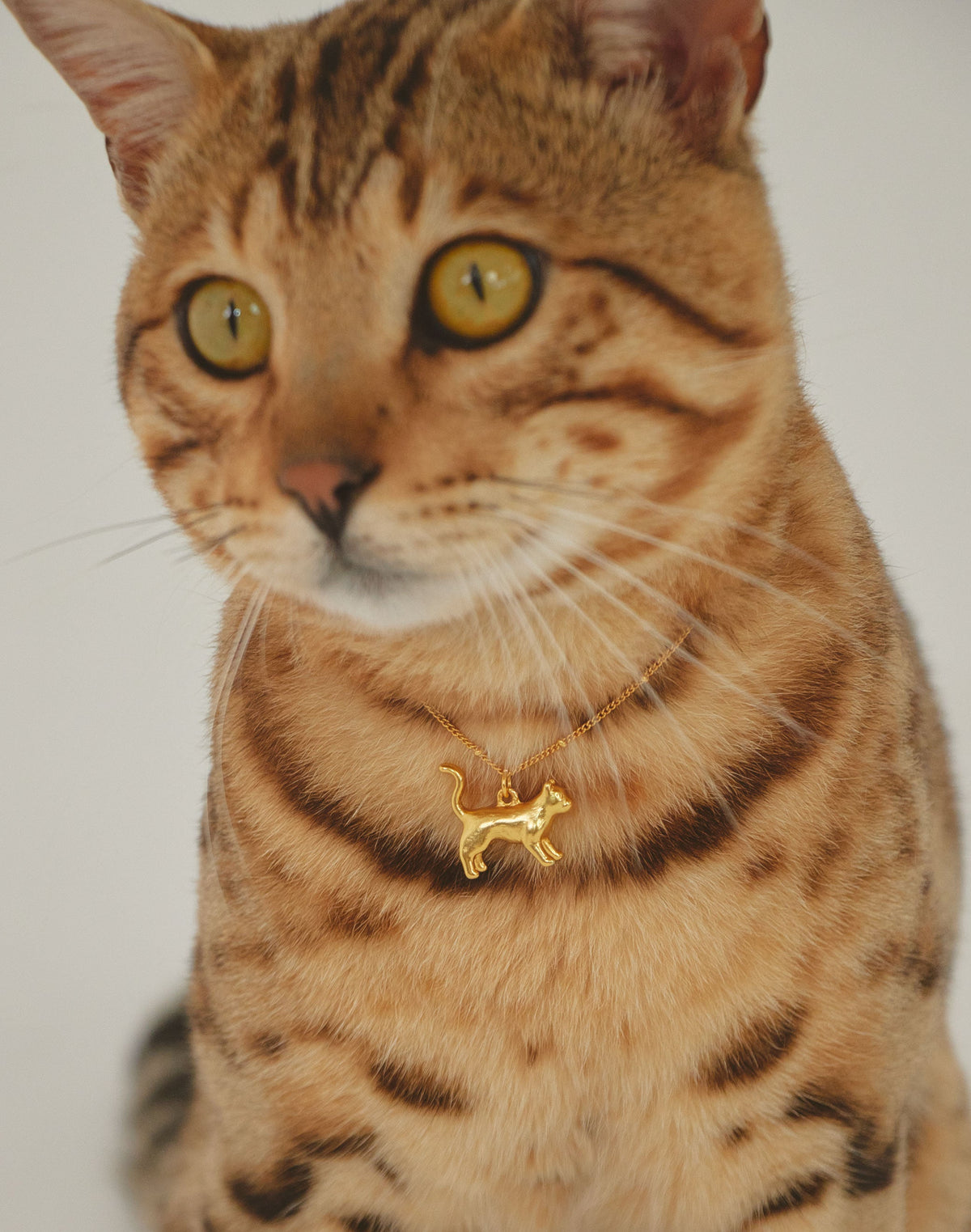 Tiffany Cat Necklace