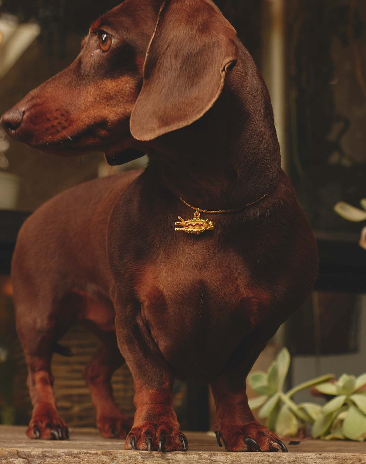 Hot Dog Necklace