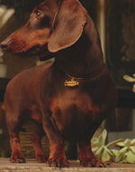 Hot Dog Necklace
