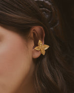 Páramo Earcuff