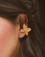 Páramo Earcuff