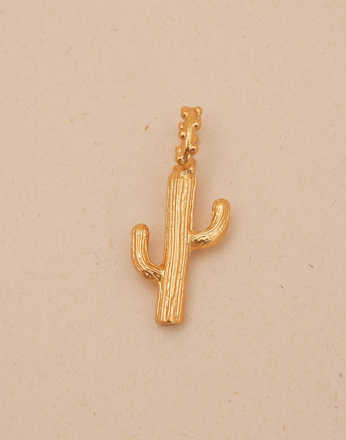 Maxi Charm Cactus