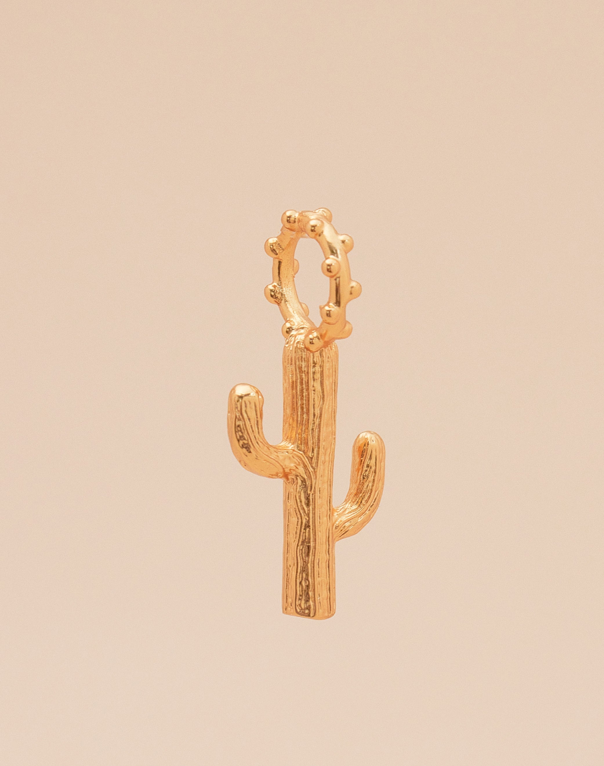 Maxi Cactus Charm
