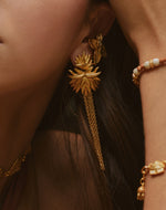 Pendientes Frailejón