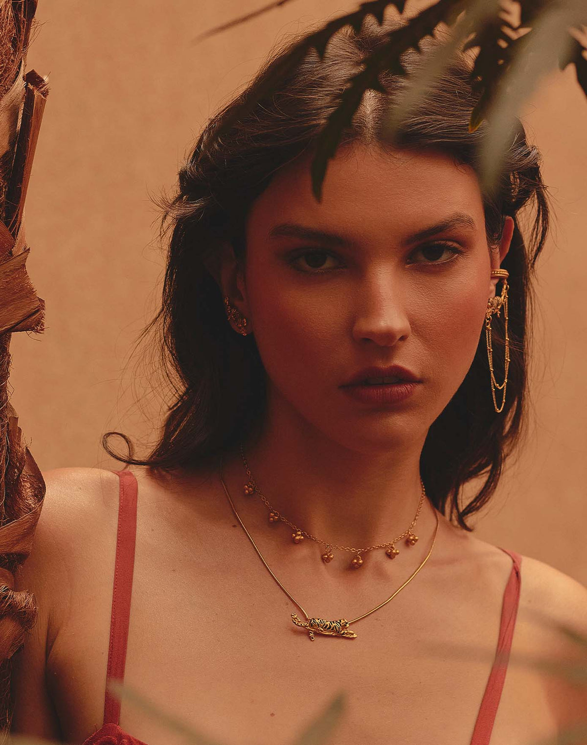 Set de 2 Collares Tigre de Bengala