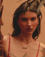 Set de 2 Collares Tigre de Bengala