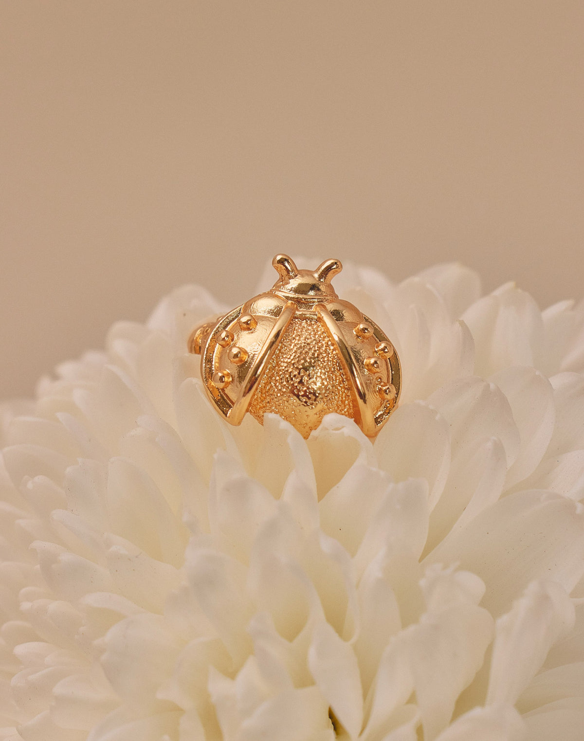 3-Piece Nature Ear Cuff Set