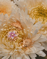 3-Piece Metamorphosis Pin Set