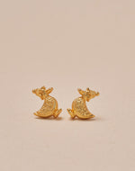 Set de 5 Aretes Farm