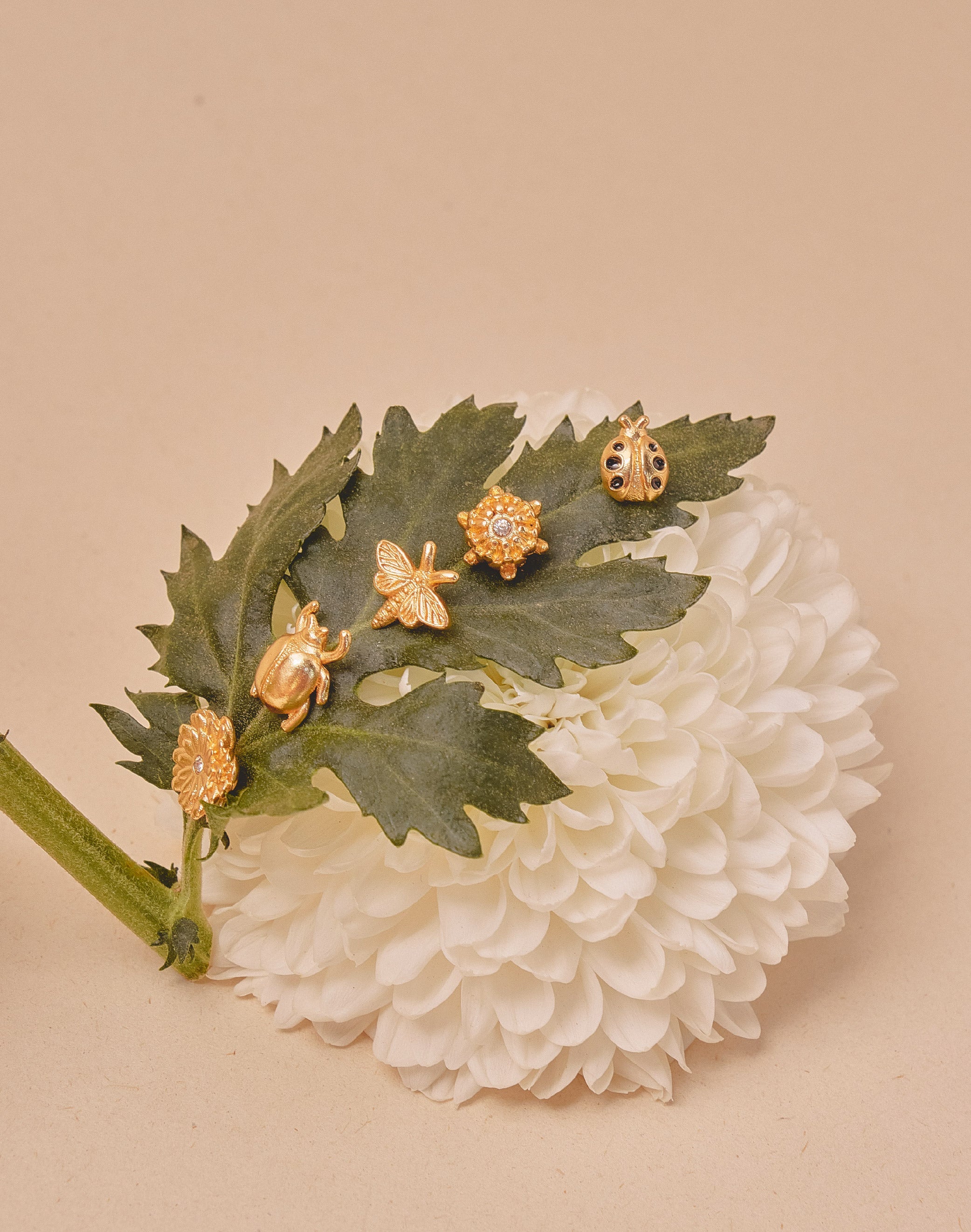 5-Piece Bloom Stud Earring Set