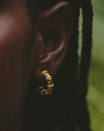 Set de 5 Aretes Mar y Selva