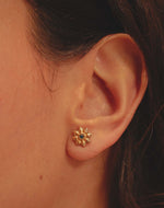 Set de 5 Aretes Templo Interior