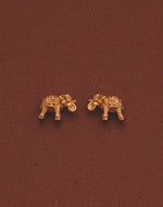 Set de 5 Aretes Templo Interior