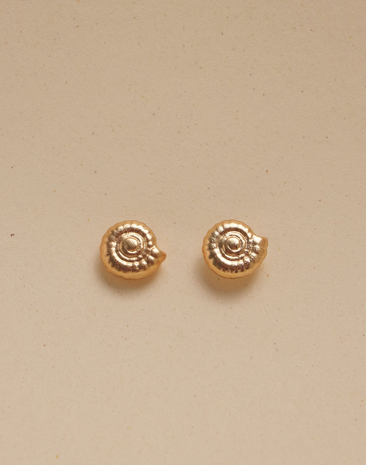 Seashell Choker & Earrings Set