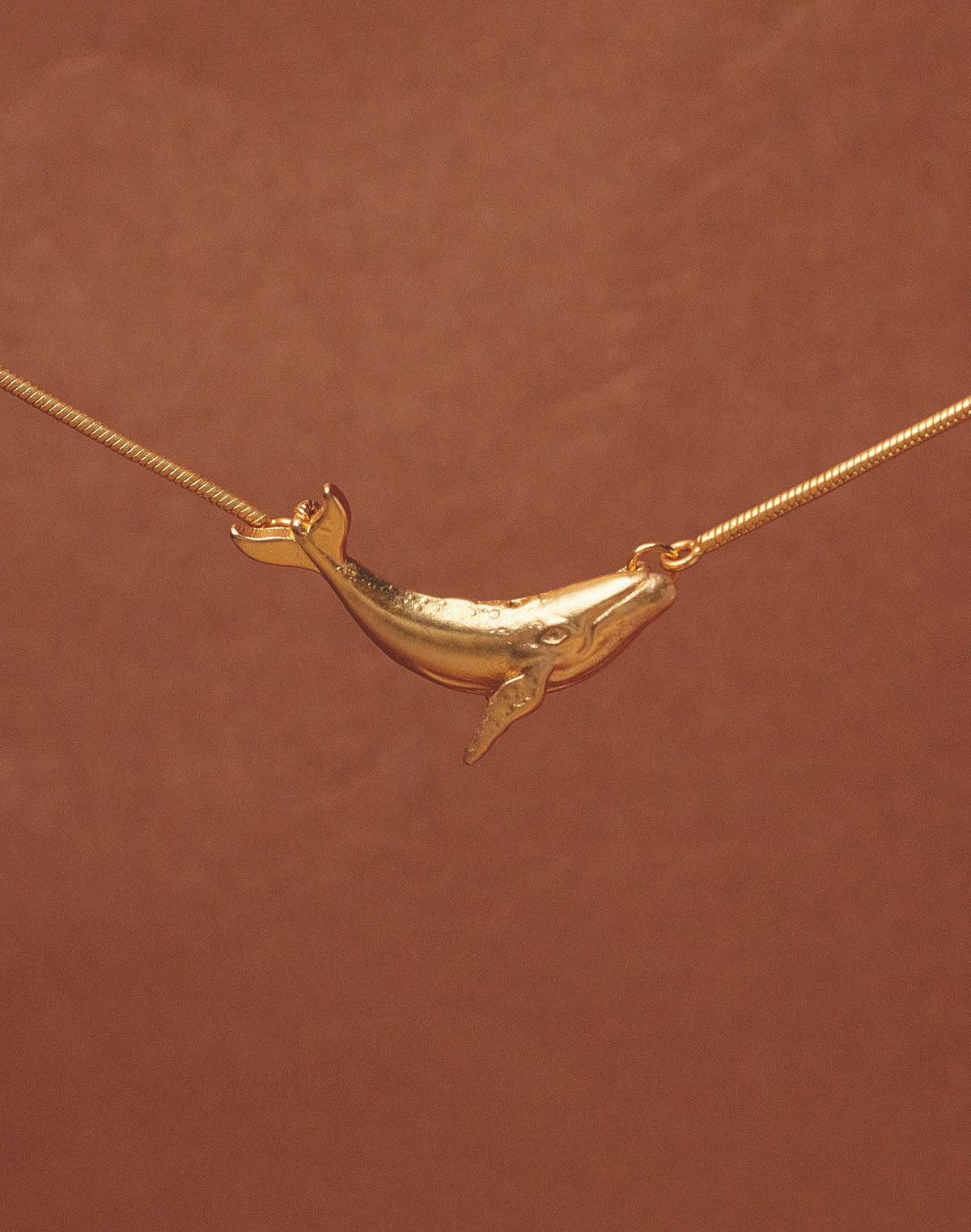 Set de Collar + Aretes Ballena