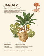 Set de 5 Aretes Mar y Selva